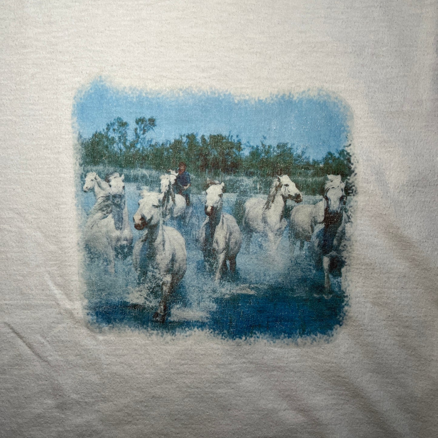 T-shirt chevaux